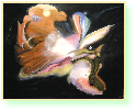 Donnervogel   80 x 100 cm   Acryl auf Leinwand